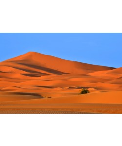 Hady Khandani, DUNES OF DESERT ERG CHEBBI - SAHARA - MOROCCO 1