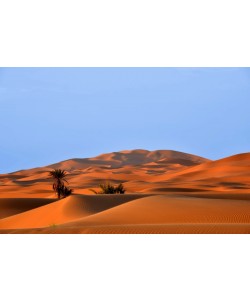 Hady Khandani, DUNES OF DESERT ERG CHEBBI - SAHARA - MOROCCO 2