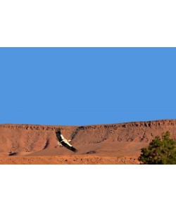 Hady Khandani, FLYING STORK - MOROCCO 1