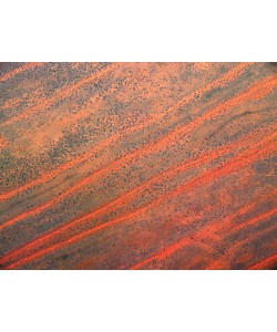 Hady Khandani, GEO ART - SOUTH AFRICA