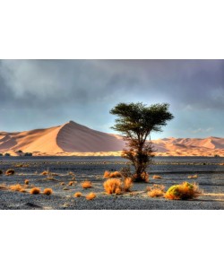 Hady Khandani, HDR - DUNES OF ERG CHEBBI - MERZOUGA - MOROCCO 3