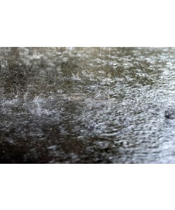 Hady Khandani, HEAVY RAIN ON THE STREET
