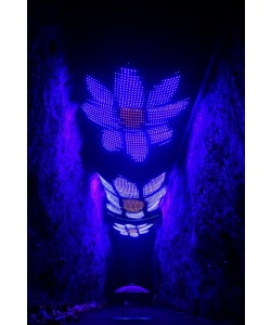 Hady Khandani, LIGHT SHOW - LED FLOWERS BLUEpg