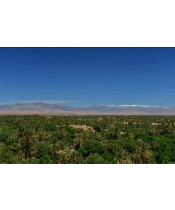 Hady Khandani, OASIS OF SKOURA - MOROCCO