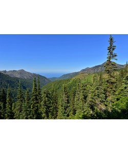 Hady Khandani, OLYMPIC MOUNTAINS - WASHINGTON - USA 6