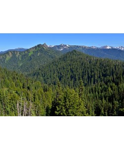Hady Khandani, OLYMPIC MOUNTAINS - WASHINGTON - USA 7