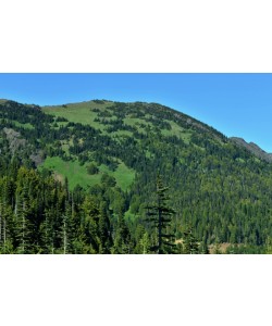 Hady Khandani, OLYMPIC MOUNTAINS - WASHINGTON - USA 8