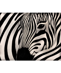 Hady Khandani, PAINTING - THE ZEBRA 1