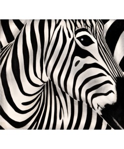 Hady Khandani, PAINTING - THE ZEBRA 2