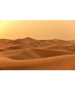 Hady Khandani, SAHARA DUNES IN EARLY MORNING LIGHT - ERG CHEBBI - MOROCCO 1