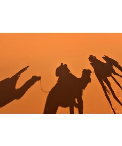 Hady Khandani, SHADOWS OF THE CARAVAN - SAHARA - MOROCCO 1