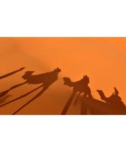 Hady Khandani, SHADOWS OF THE CARAVAN - SAHARA - MOROCCO 2