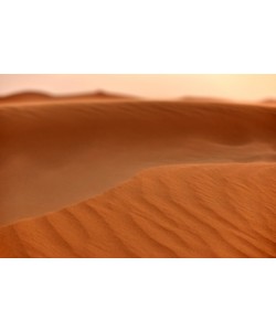 Hady Khandani, STROMY DESERT ERG CHEBBI - SAHARA - MOROCCO