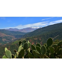 Hady Khandani, VIEW OF ATLAS MOUNTAIN RANGE - MOROCCO 1