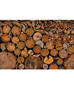 Hady Khandani, WOOD PILE
