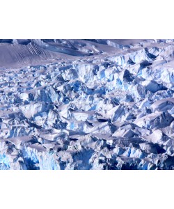 Hady Khandani, ANTARCTICA 16