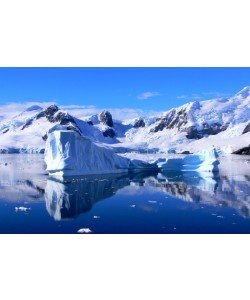 Hady Khandani, ANTARCTICA 17
