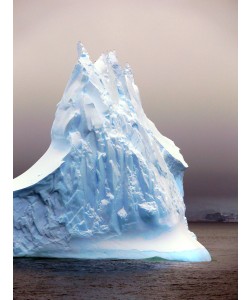 Hady Khandani, ANTARCTICA 21
