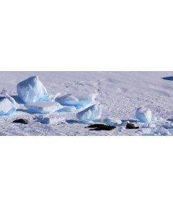 Hady Khandani, ANTARCTICA PANO 3