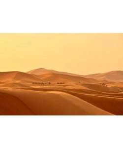 Hady Khandani, CARAVAN IN THE DUNES OF SAHARA DESERT - ERG CHEBBI - MOROCCO 1