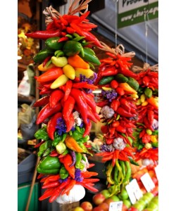 Hady Khandani, COLORFURL CHILI