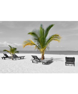 Hady Khandani, COLORSPOT - PALMS AT THE BEACH - POINTE DENISE - GABON