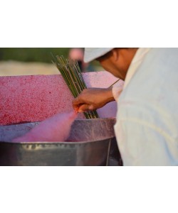 Hady Khandani, COTTON CANDY