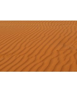 Hady Khandani, DESERT SOIL - SAHARA - MOROCCO 2