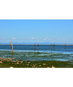 Hady Khandani, DUNGENESS BAY - NORTHERN OLYMPIC PENINSULA - USA 1
