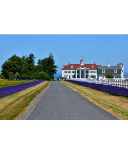 Hady Khandani, GEORGE WASHINGTON MOUNT VERNON REPLICA - OLYMPIC PENINSULA - USA 1