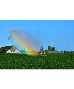 Hady Khandani, IRRIGATION RAINBOW