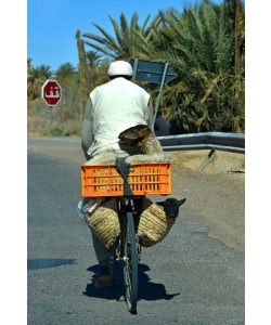 Hady Khandani, LAMBS TRANSPORTATION - MOROCCO