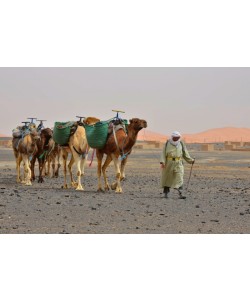 Hady Khandani, LITTLE CARAVAN - MOROCCO