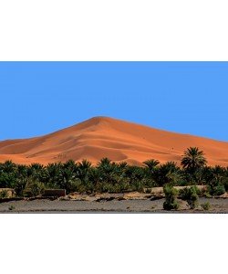Hady Khandani, MERZOUGA OASIS IN FRONT OF ERG CHEBBI - MOROCCO