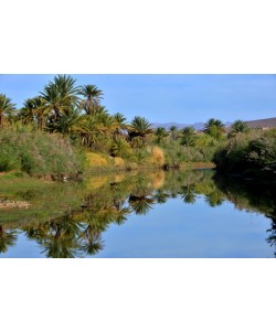Hady Khandani, PALMS MIRRORING IN LITTLE LAKE - MOROCCO