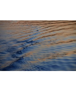 Hady Khandani, SUNSET LIGHT IN SINCLAIR INLET