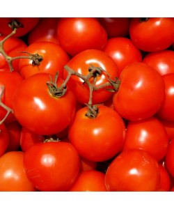 Hady Khandani, TOMATOES SQUARE