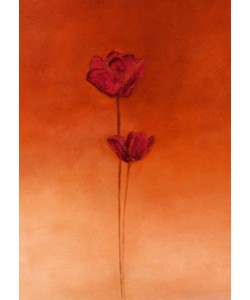 Erika Heinemann, Poppy Elegance II