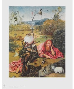 Hieronymus Bosch, Johannes der Täufer