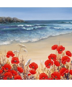 Hilary Mayes, Poppy Tides