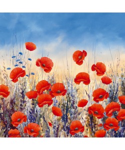 Hilary Mayes, Sunset Poppies