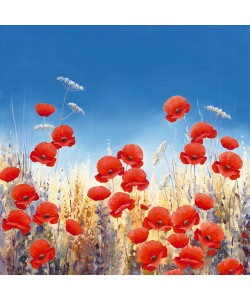 Hilary Mayes, Dancing Poppies