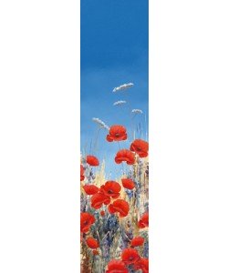 Hilary Mayes, Summer Poppies II