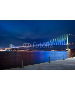 Iarygin Andrii, Bridge in Istanbul via Basfor
