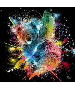Moki, Koala Color