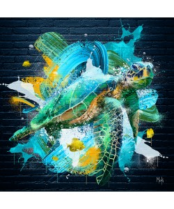 Moki, Tortue Pop