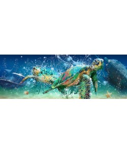 Moki, Tortue Pop Pano