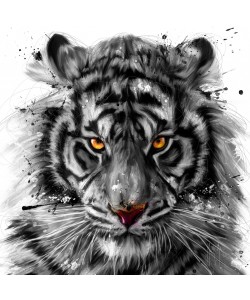 Patrice Murciano, White Tiger