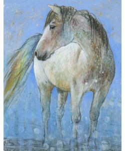 Loes Botman, Horse