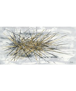 Caro-H, Etincelle